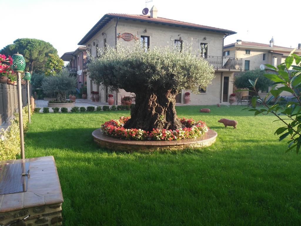 Domus Angeli Hotel Assisi Eksteriør billede