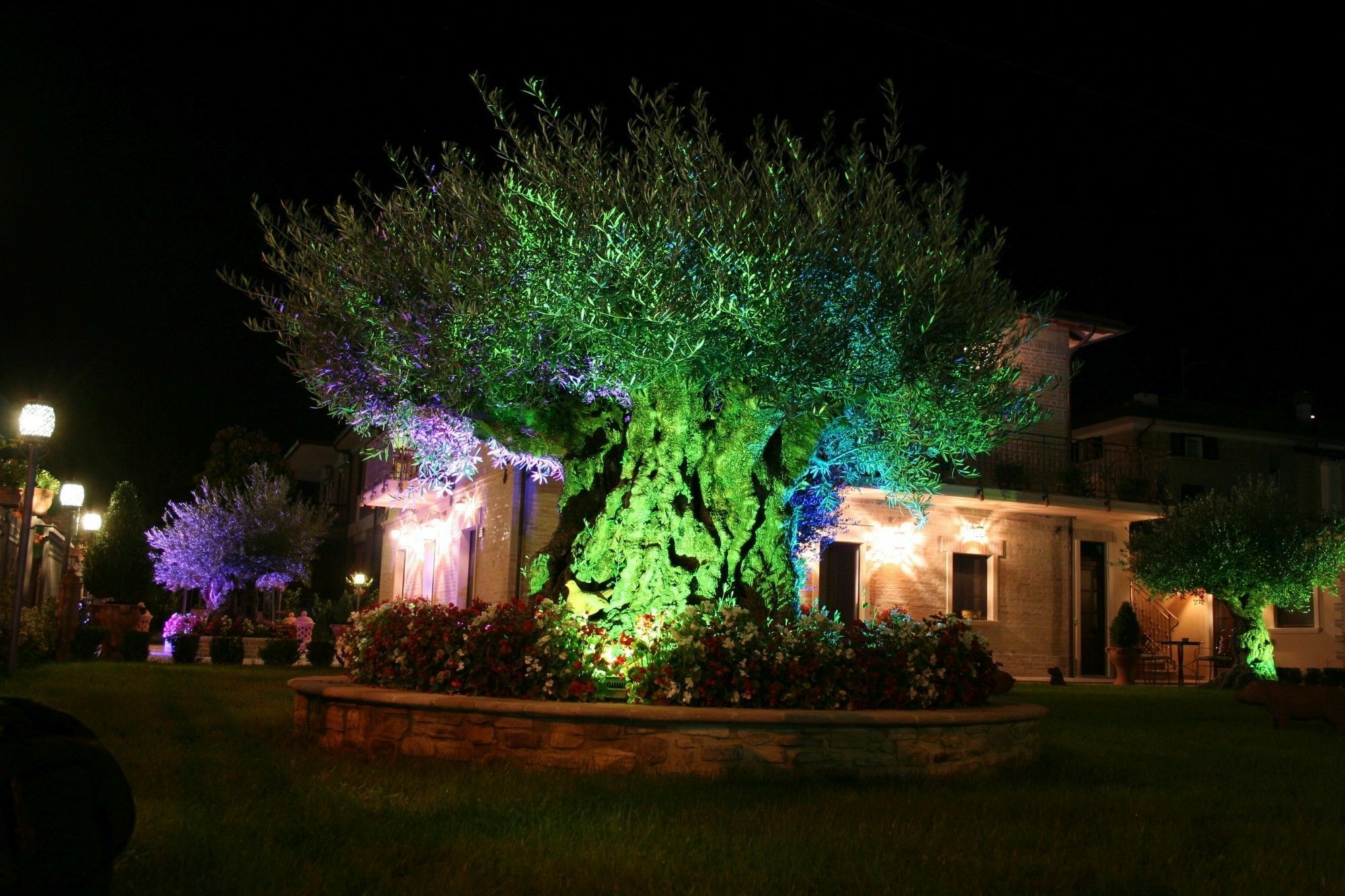 Domus Angeli Hotel Assisi Eksteriør billede