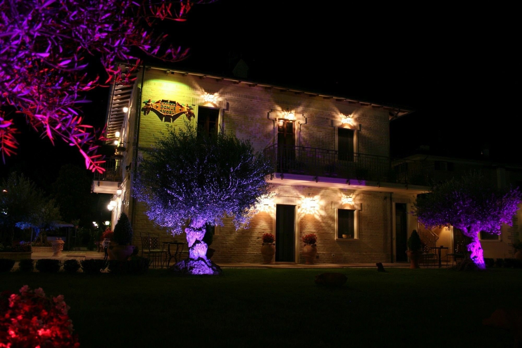 Domus Angeli Hotel Assisi Eksteriør billede